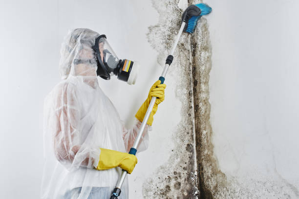 Best Mold Testing  in Edgerton, WI