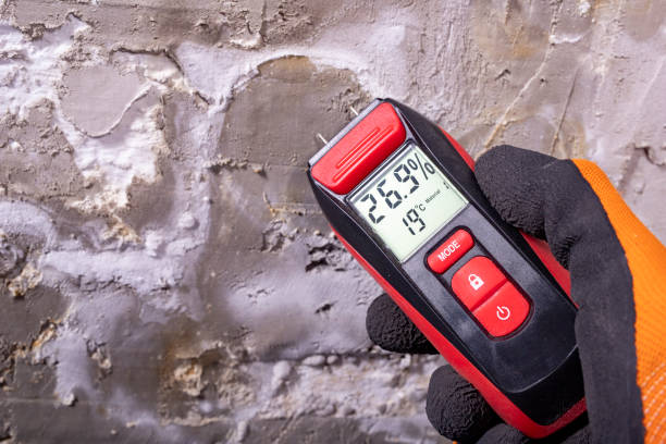Best Toxic Mold Removal  in Edgerton, WI