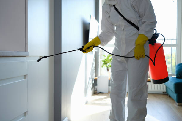 Best Mold Removal Company Near Me  in Edgerton, WI