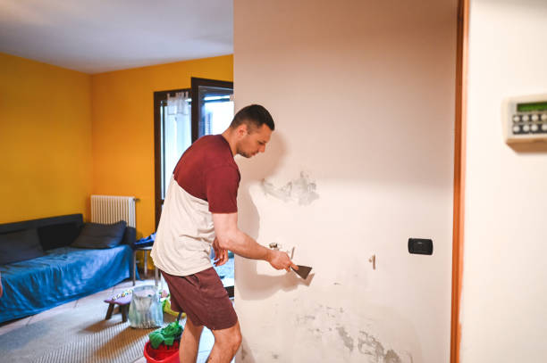 Best Local Mold Removal Service  in Edgerton, WI